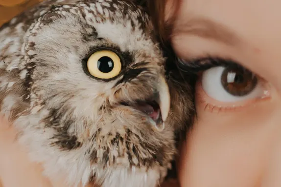 Kasino Royal Winner Tuki